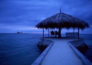 快適な滞在を実現！東横INN徳島駅前の魅力と特徴を徹底解説